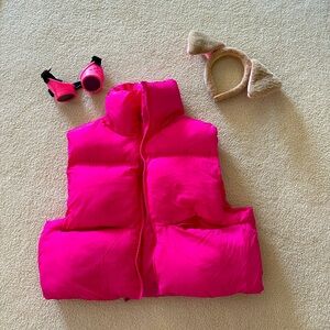 Adult women paw patrol skye costume- vest, ears, and goggles